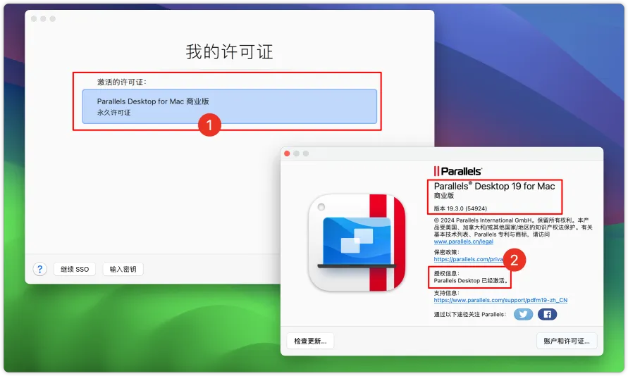 ritheme主题后台截图展示