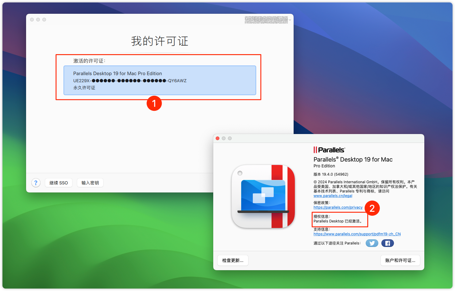 ritheme主题后台截图展示